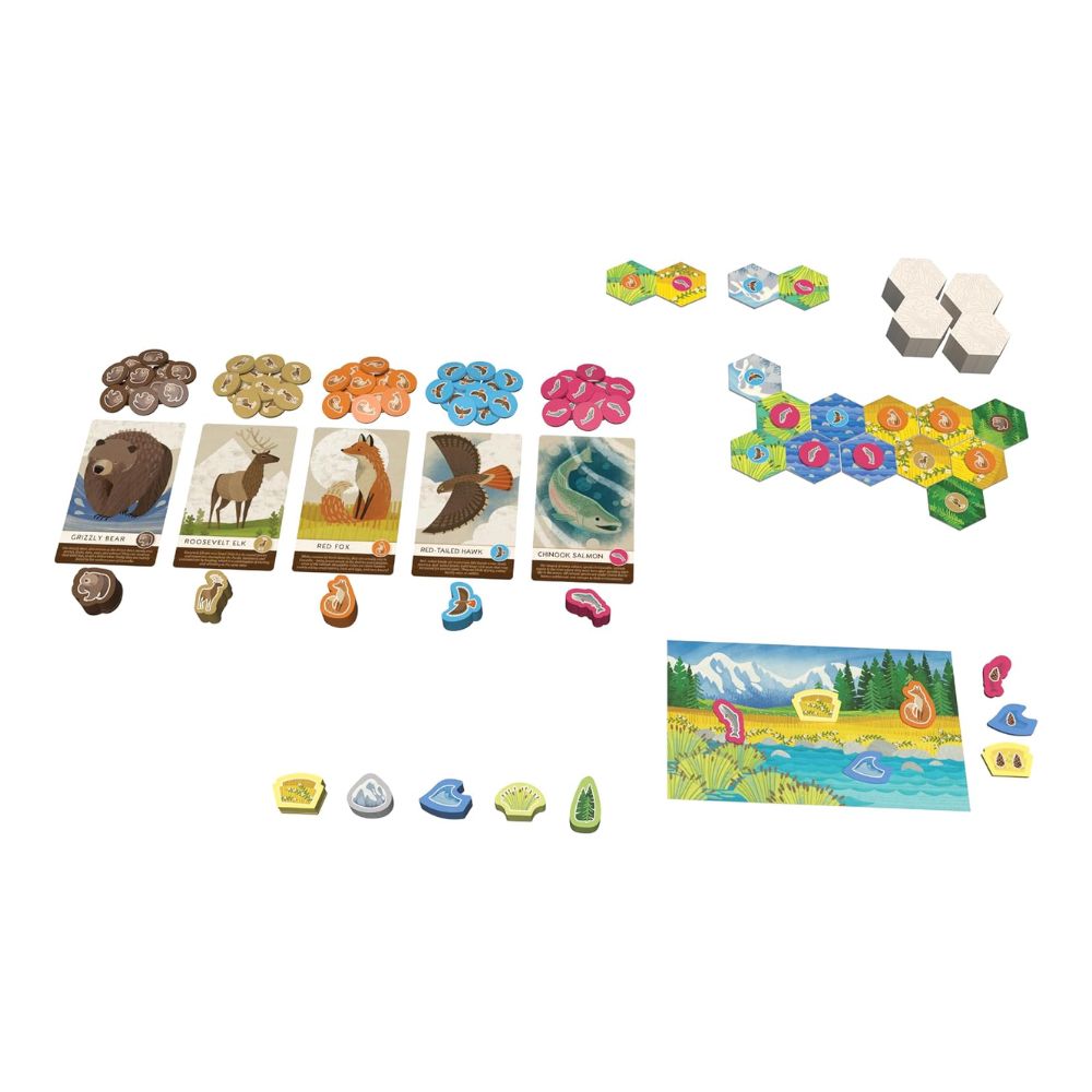 Cascadia Junior Board Game